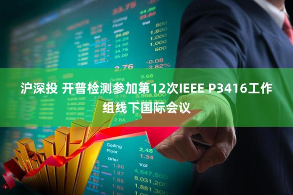 沪深投 开普检测参加第12次IEEE P3416工作组线下国际会议