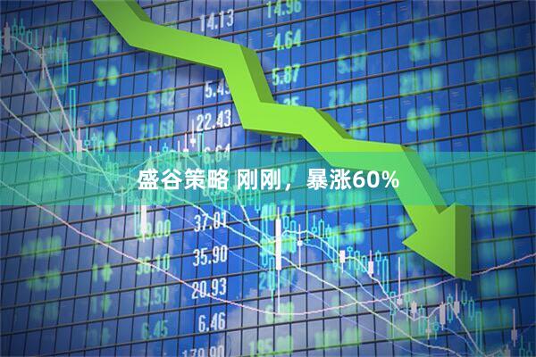 盛谷策略 刚刚，暴涨60%