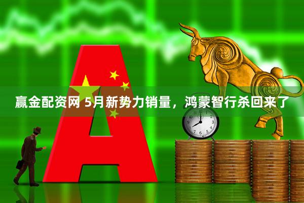 赢金配资网 5月新势力销量，鸿蒙智行杀回来了