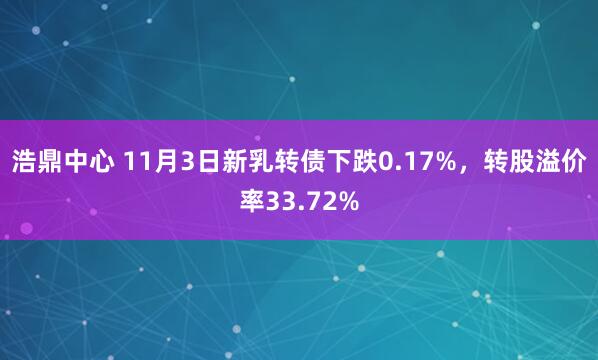 浩鼎中心 11月3日新乳转债下跌0.17%，转股溢价率33.72%