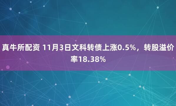 真牛所配资 11月3日文科转债上涨0.5%，转股溢价率18.38%
